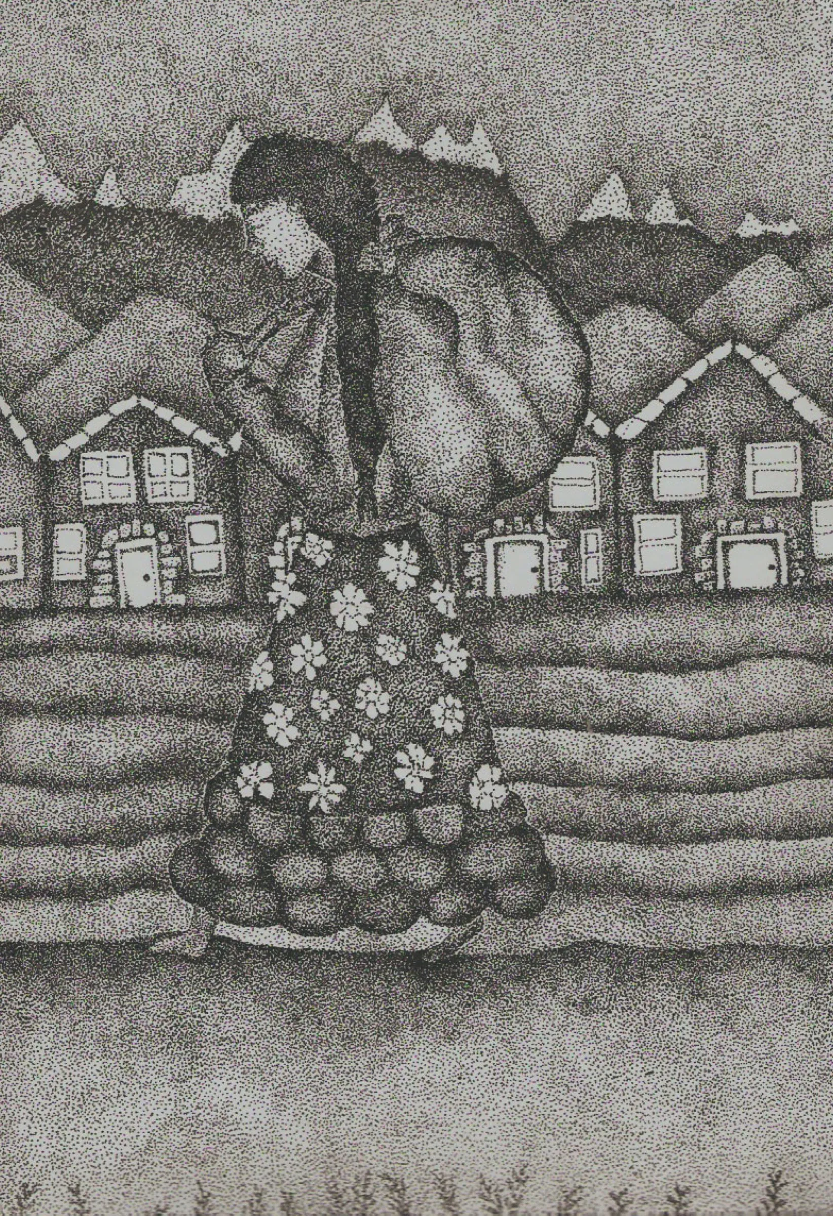Andina — obra de Cristina Sevilla