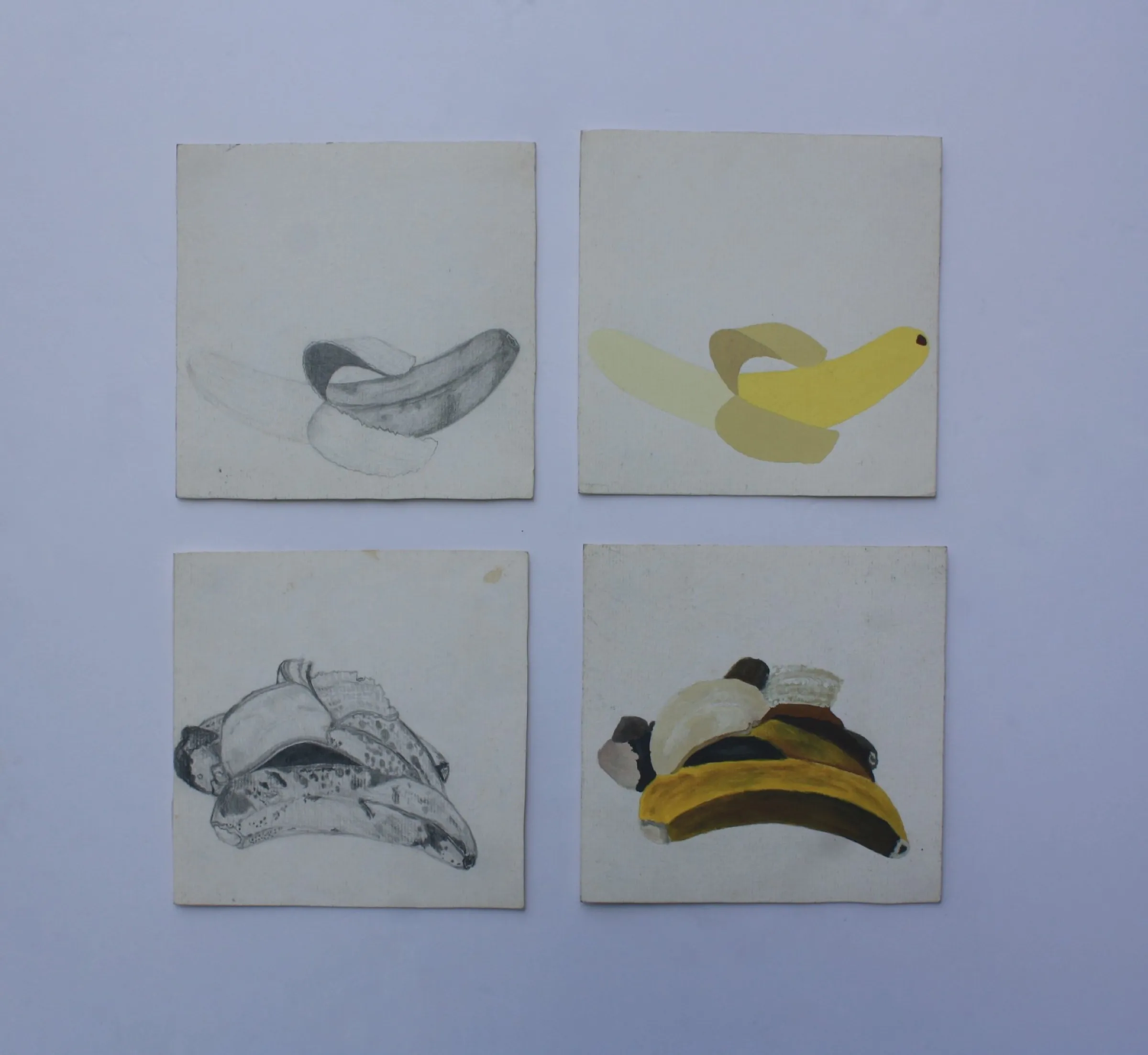 Bananas Sequence — obra de Cristina Sevilla