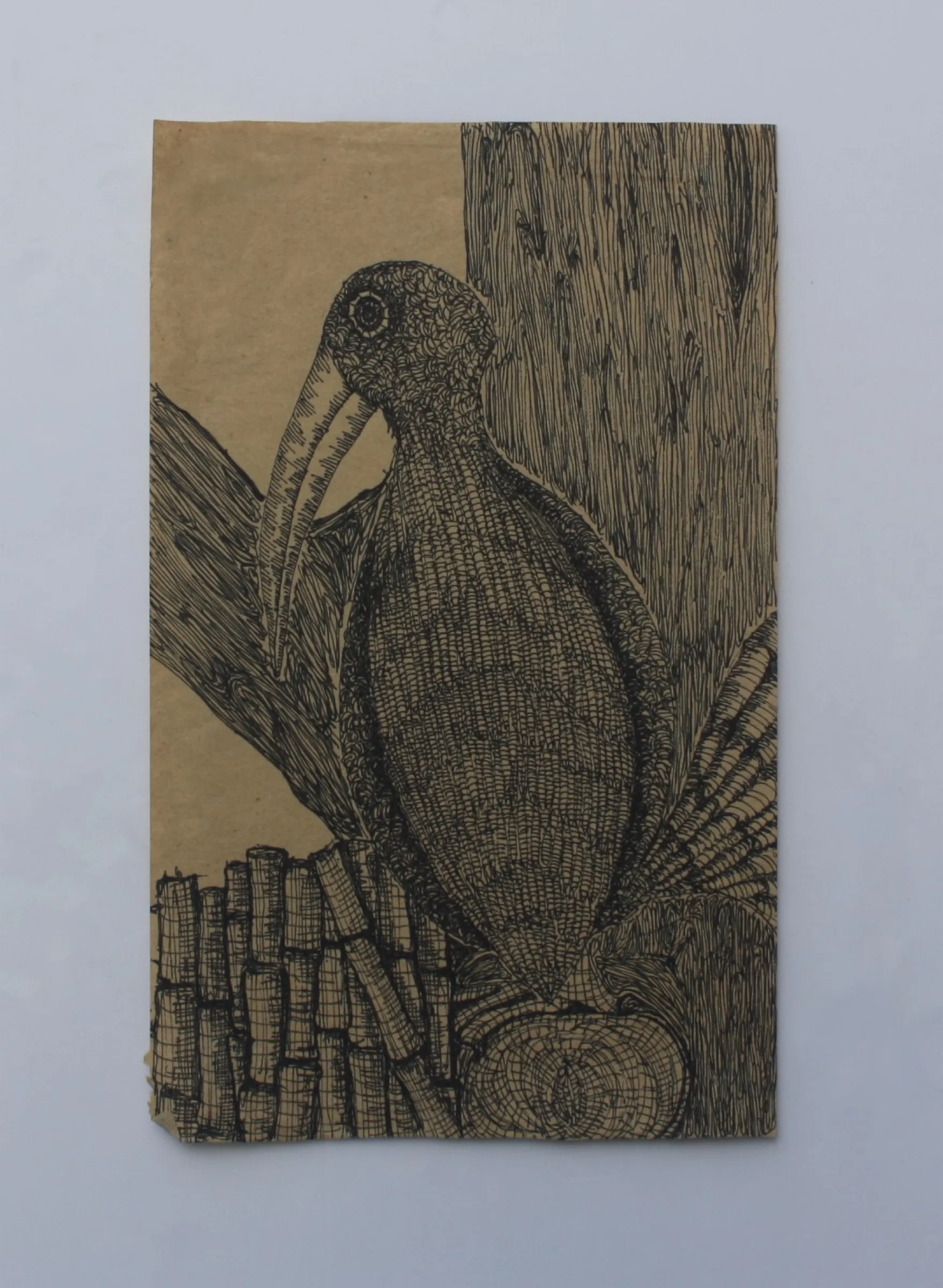 Big Bird — obra de Cristina Sevilla