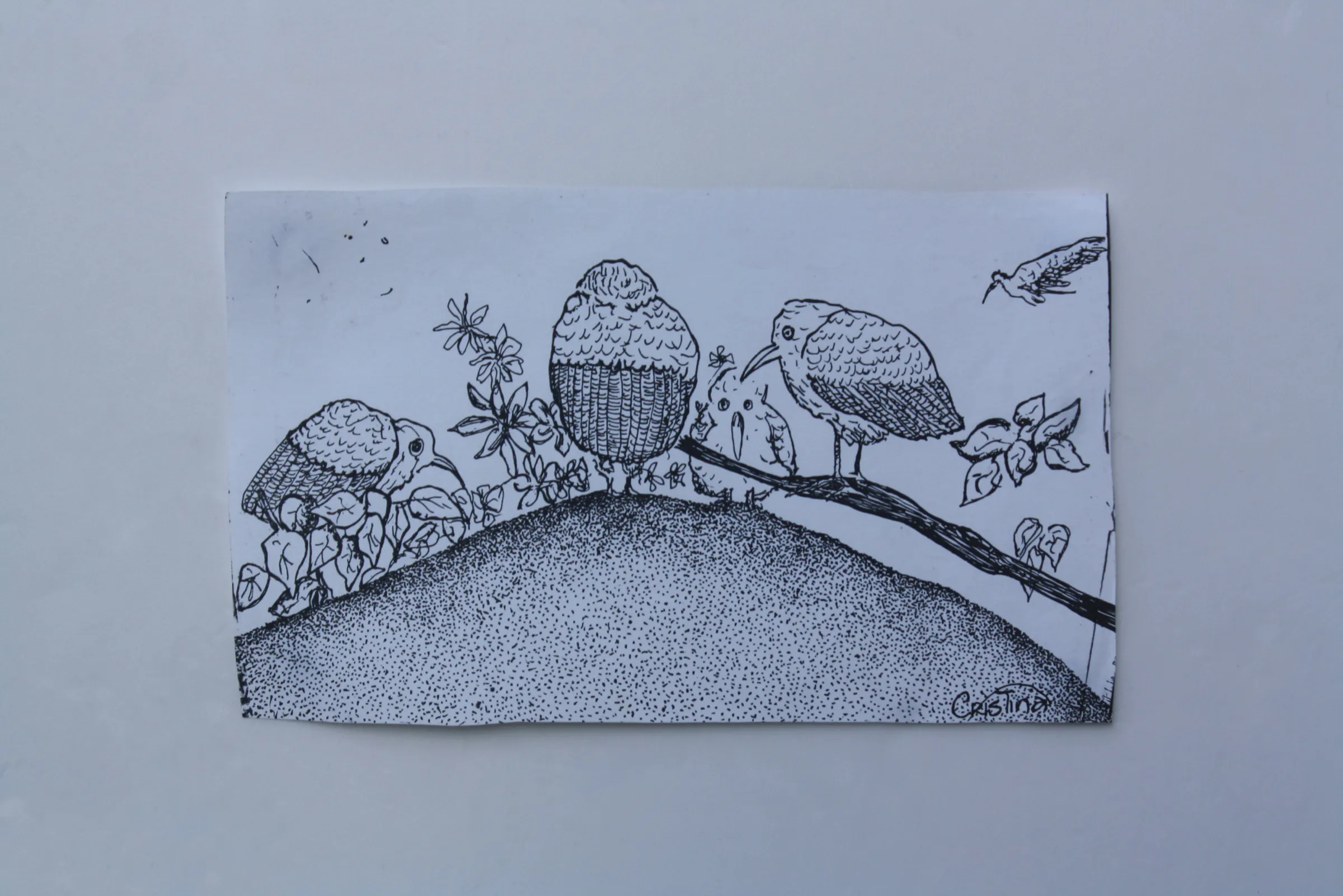 Birds — obra de Cristina Sevilla