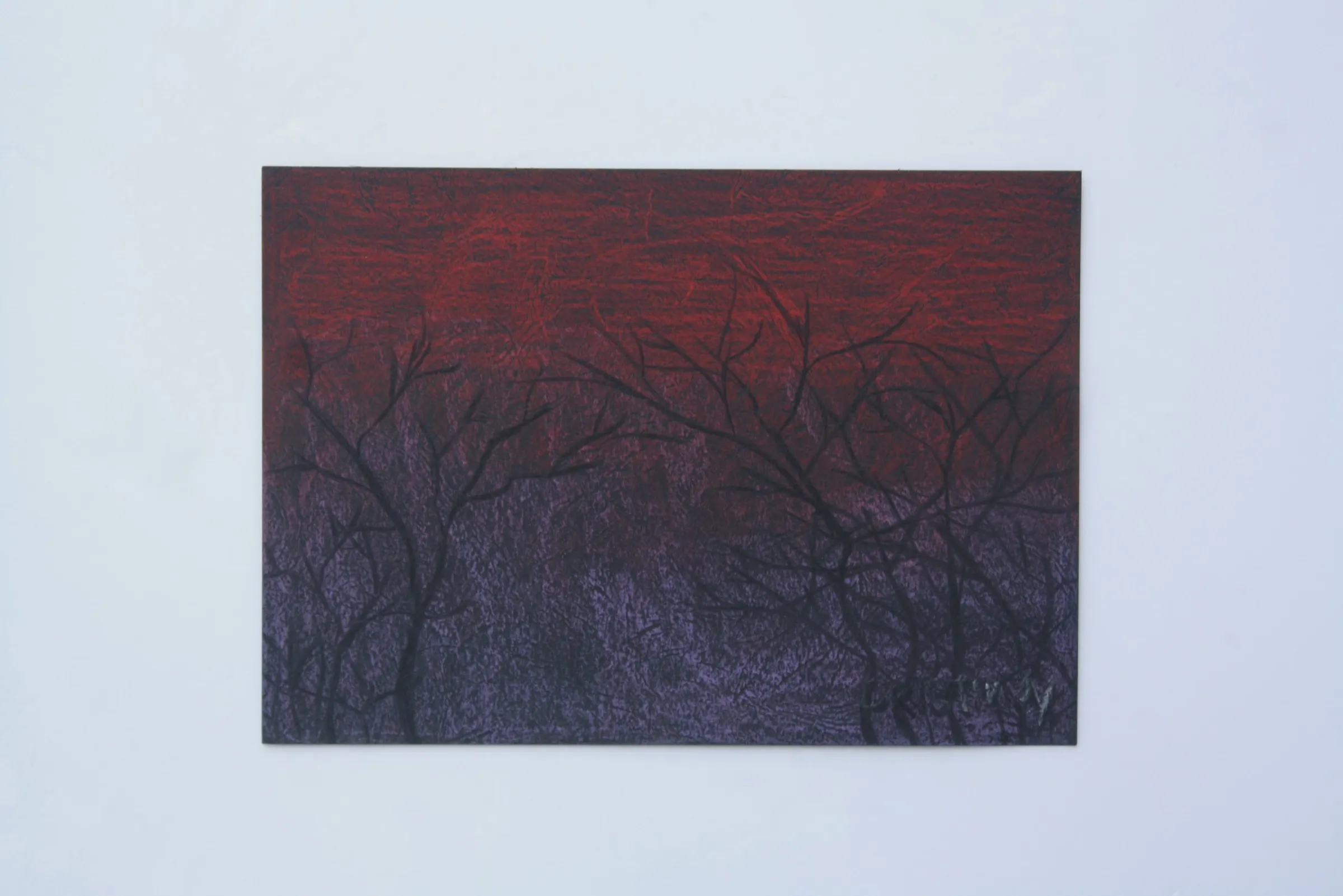 Bush Fire II — obra de Cristina Sevilla