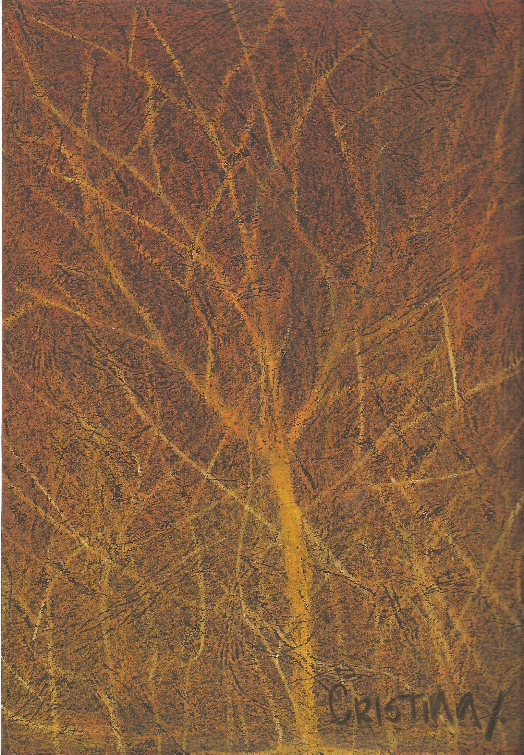 Bush Fire — obra de Cristina Sevilla