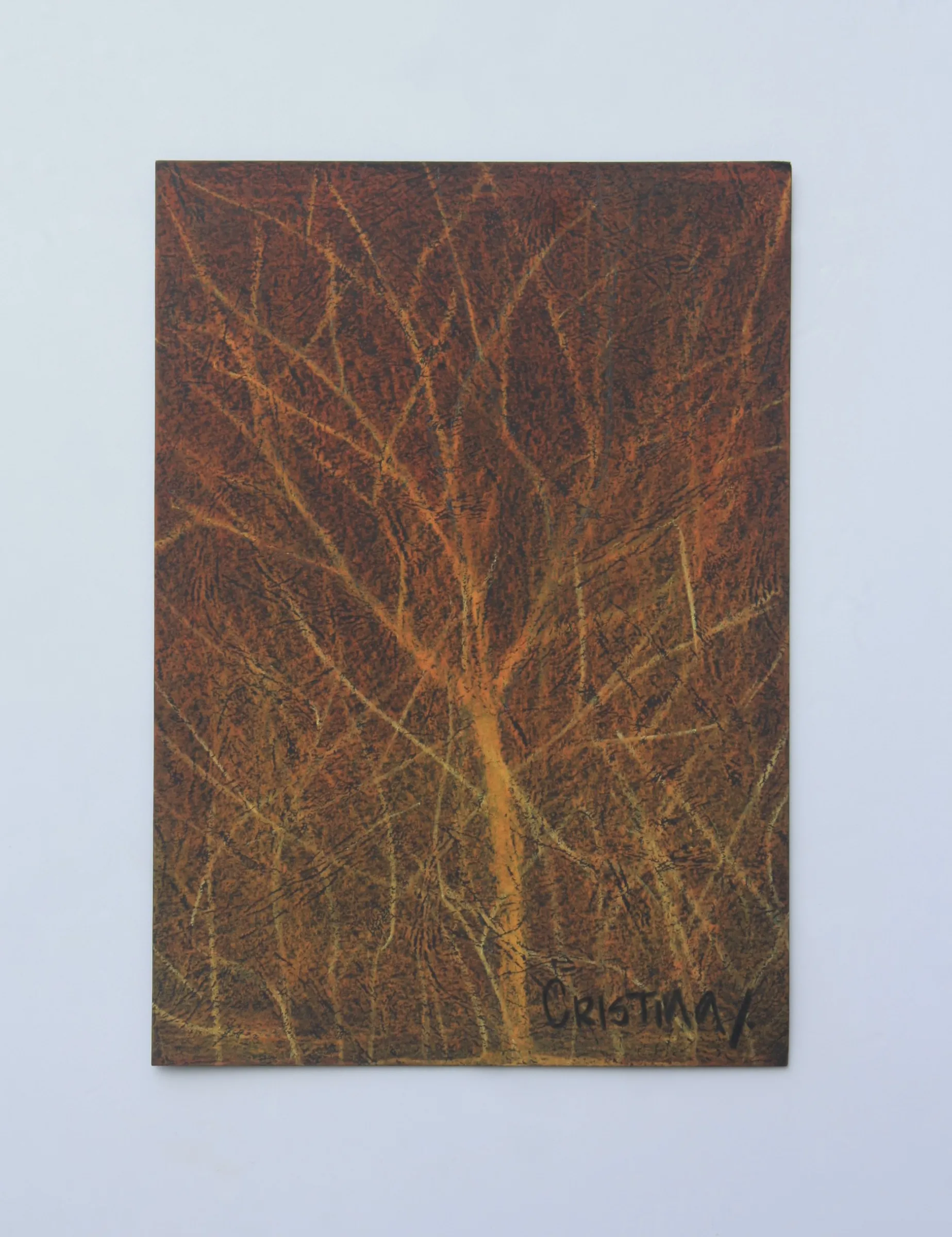 Bush Fire — obra de Cristina Sevilla