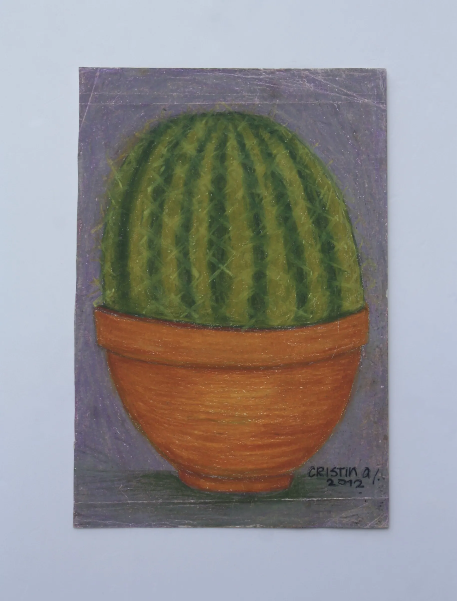 Cactus — obra de Cristina Sevilla