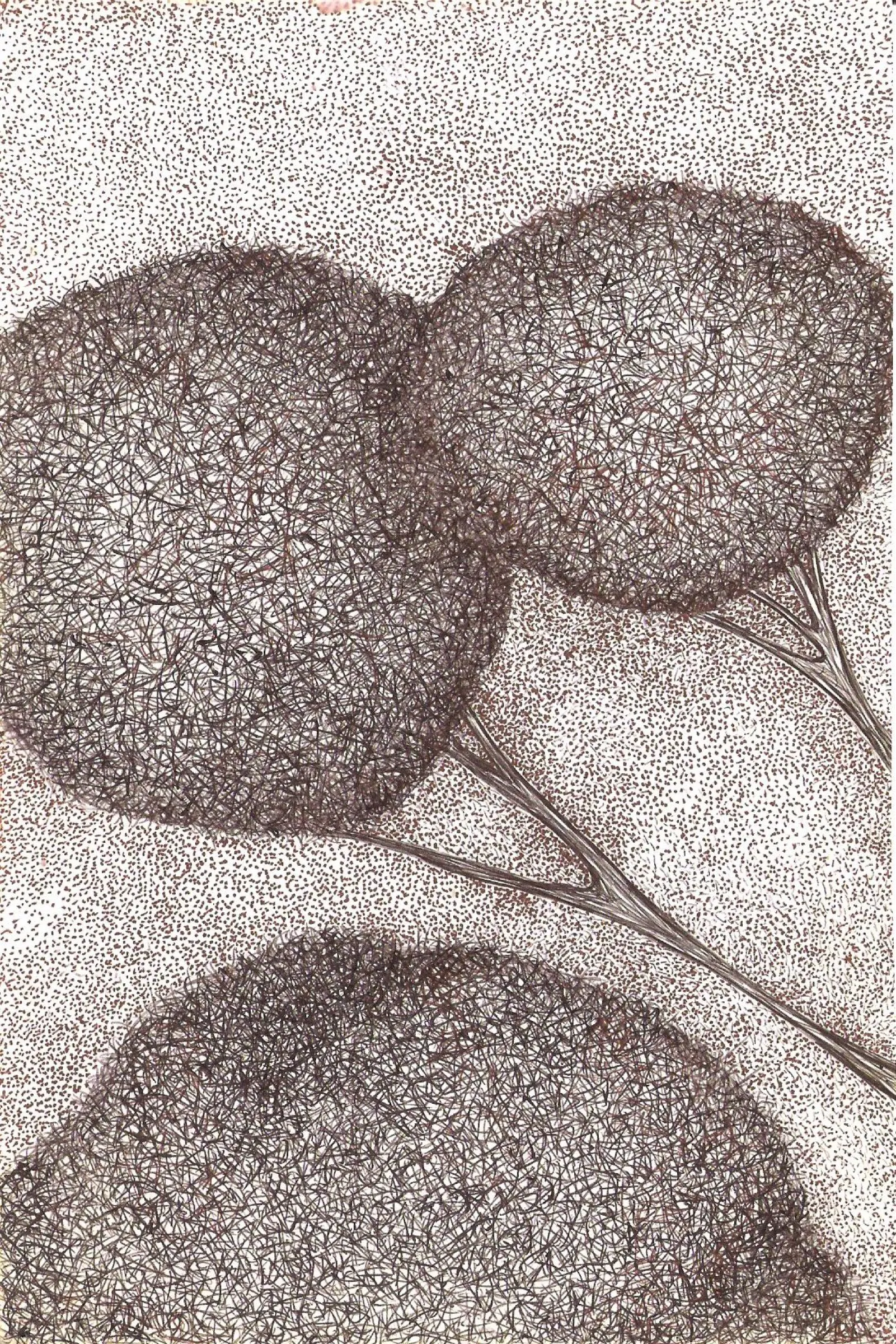 Circle Trees — obra de Cristina Sevilla