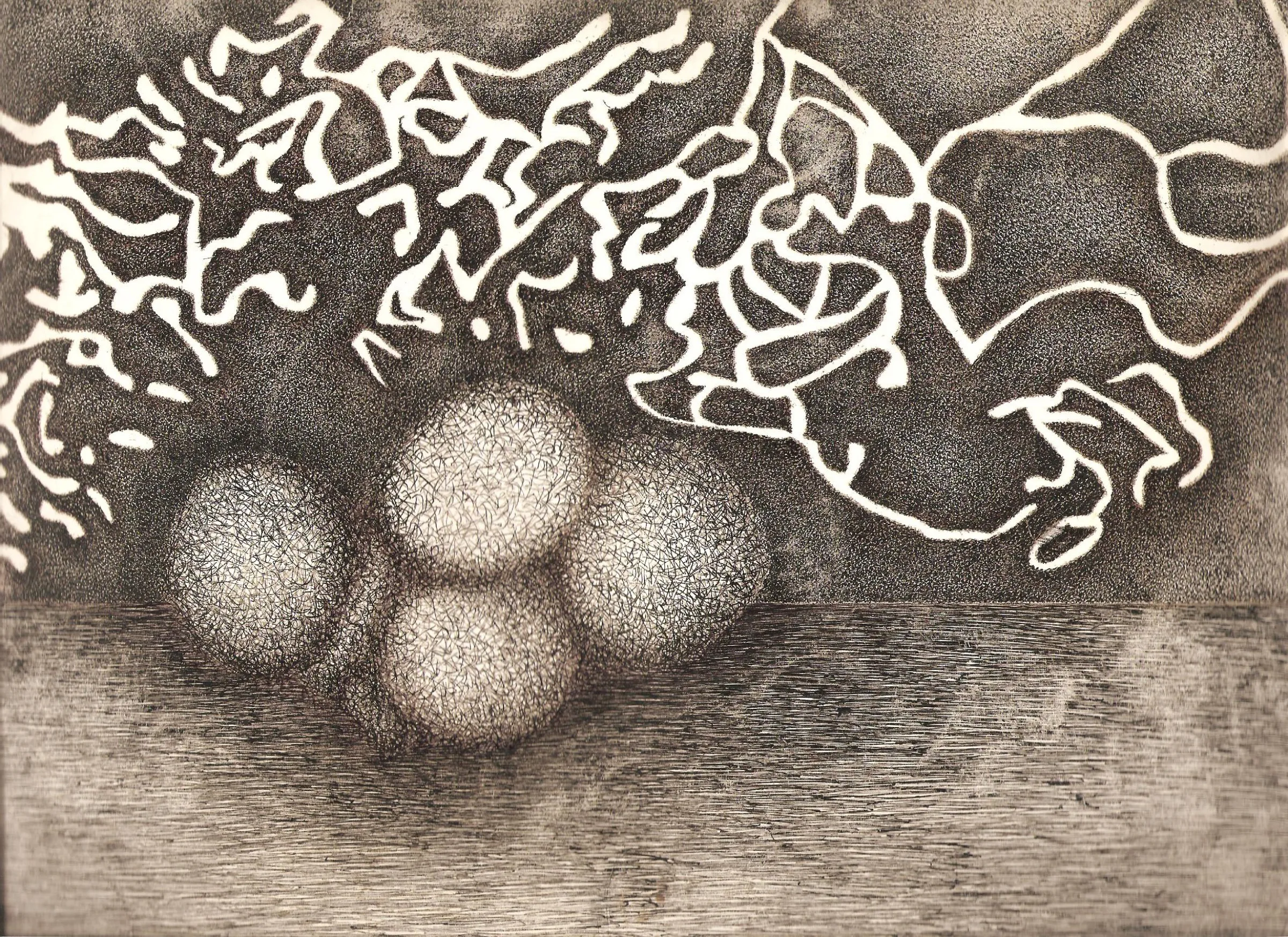 Coral Reef — obra de Cristina Sevilla