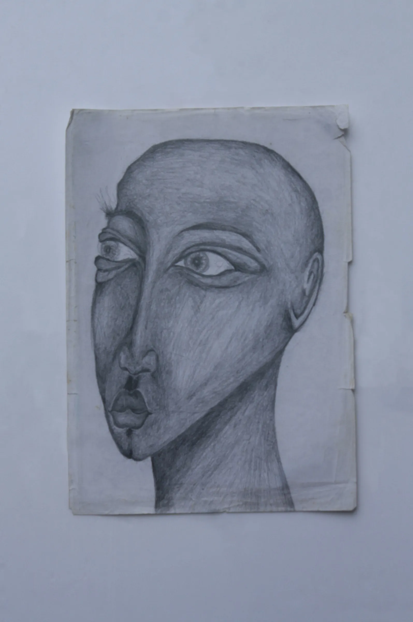 Face — obra de Cristina Sevilla