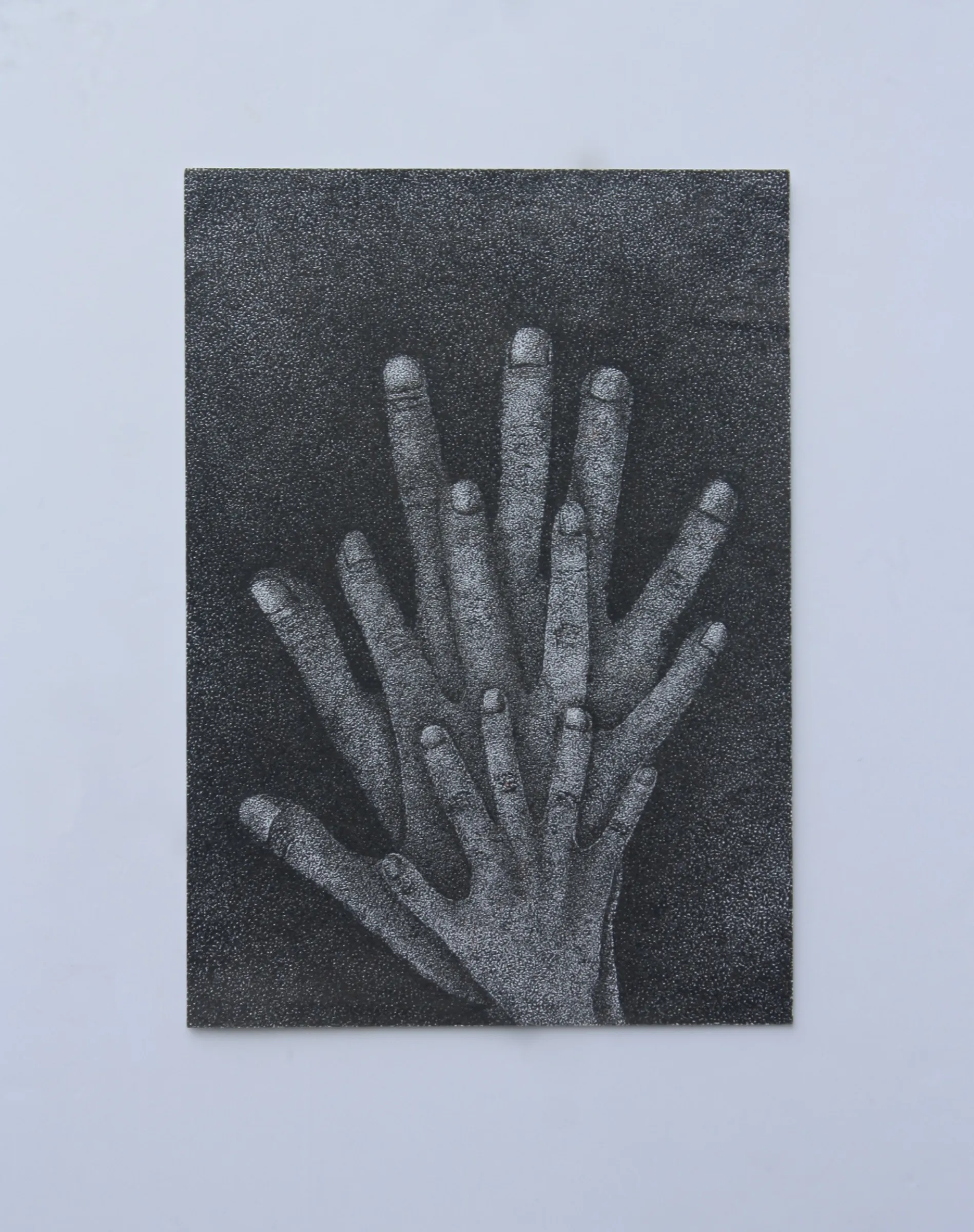 Family Unity — obra de Cristina Sevilla