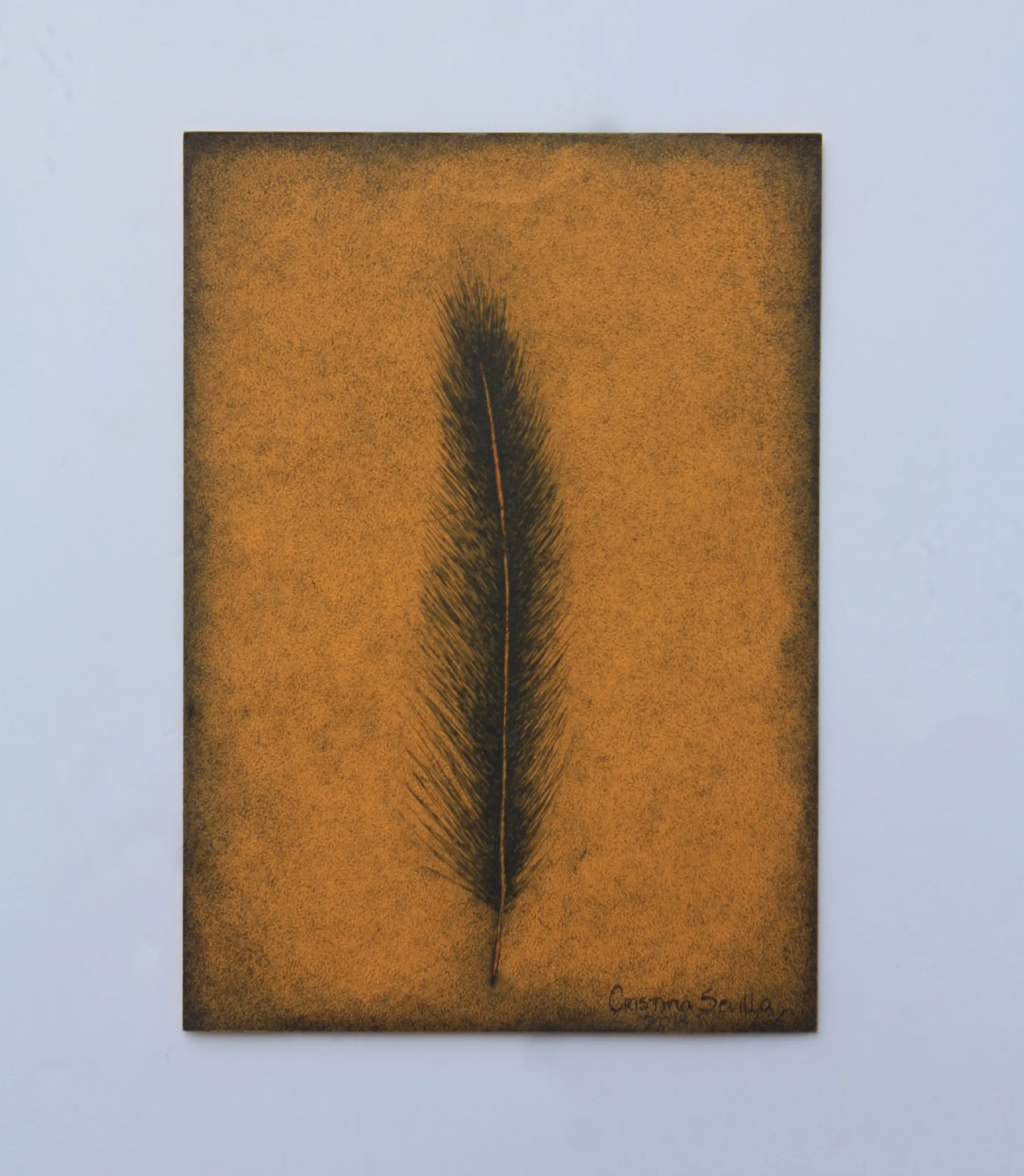 Feather — obra de Cristina Sevilla