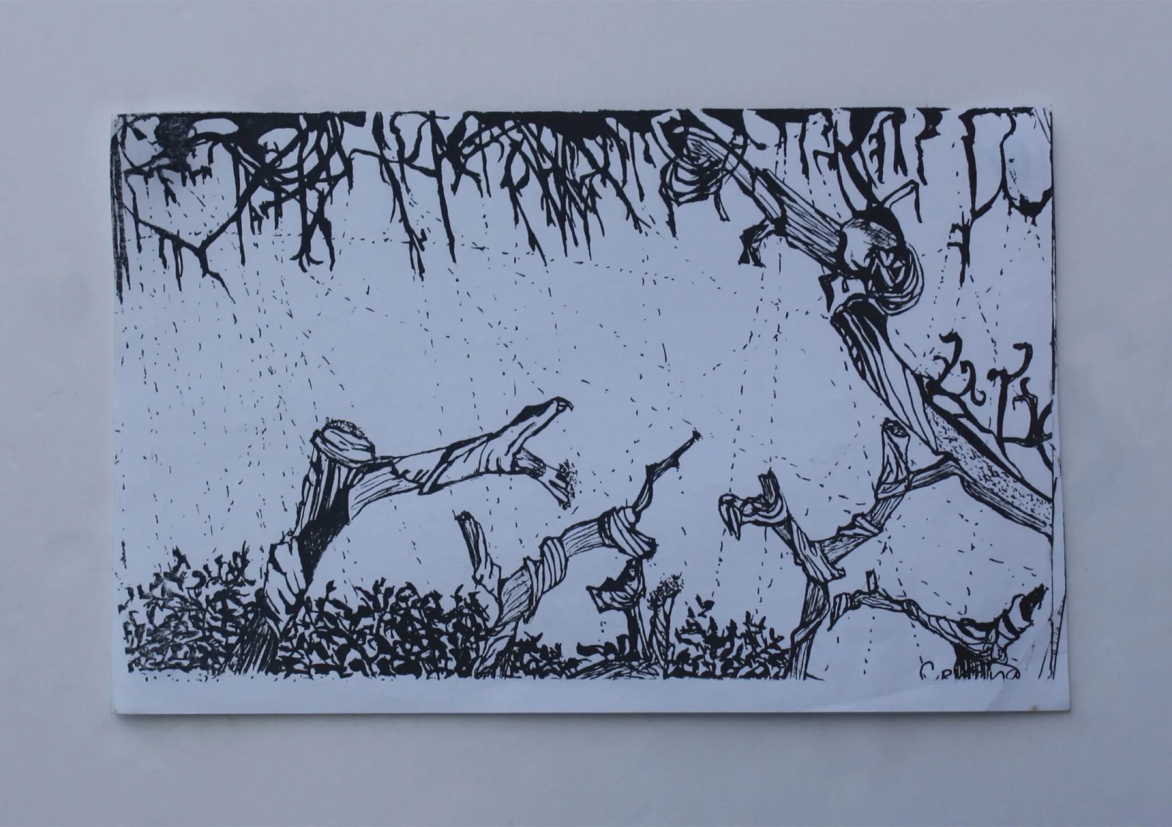 Foliage II — obra de Cristina Sevilla