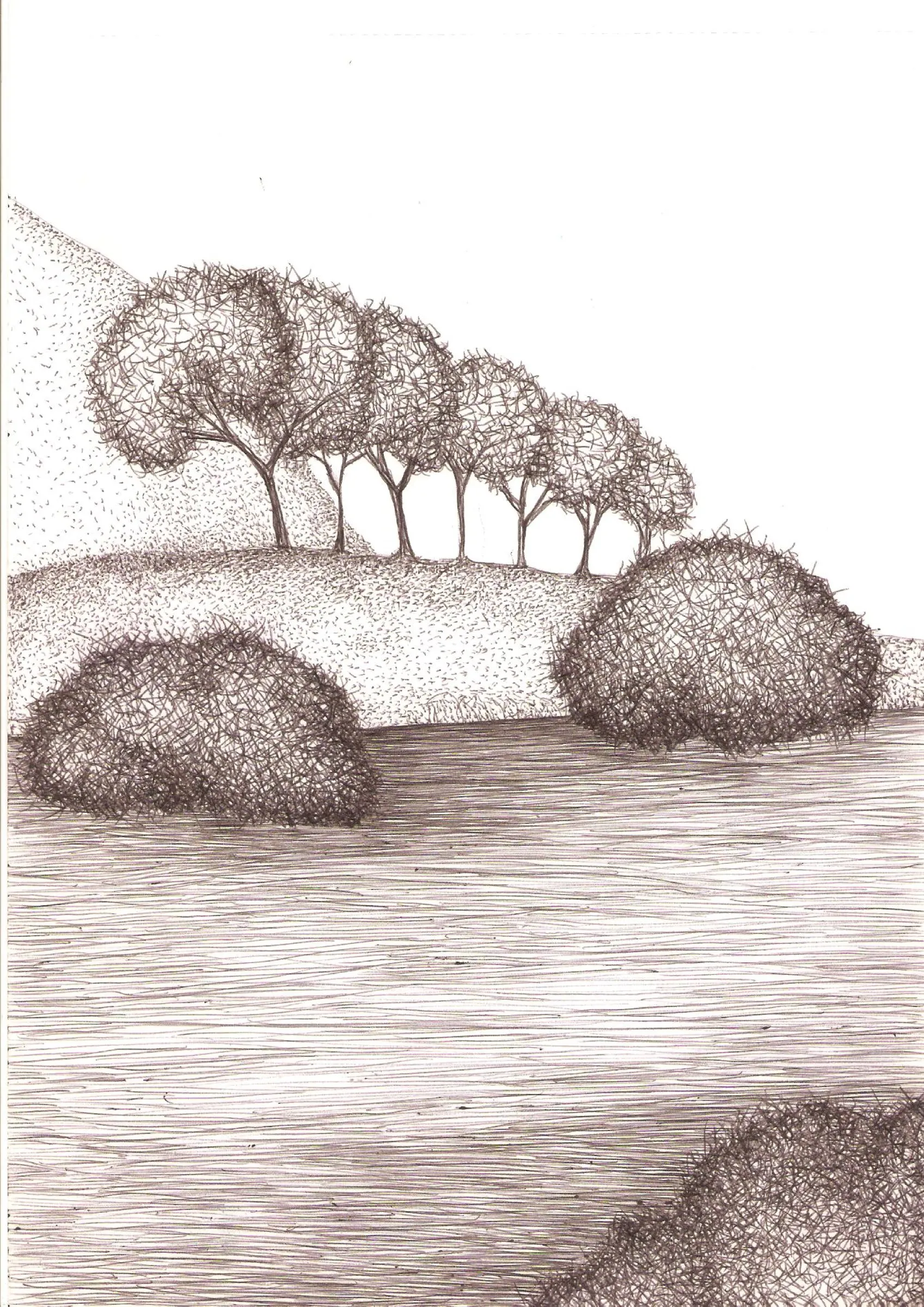 Landscape II — obra de Cristina Sevilla