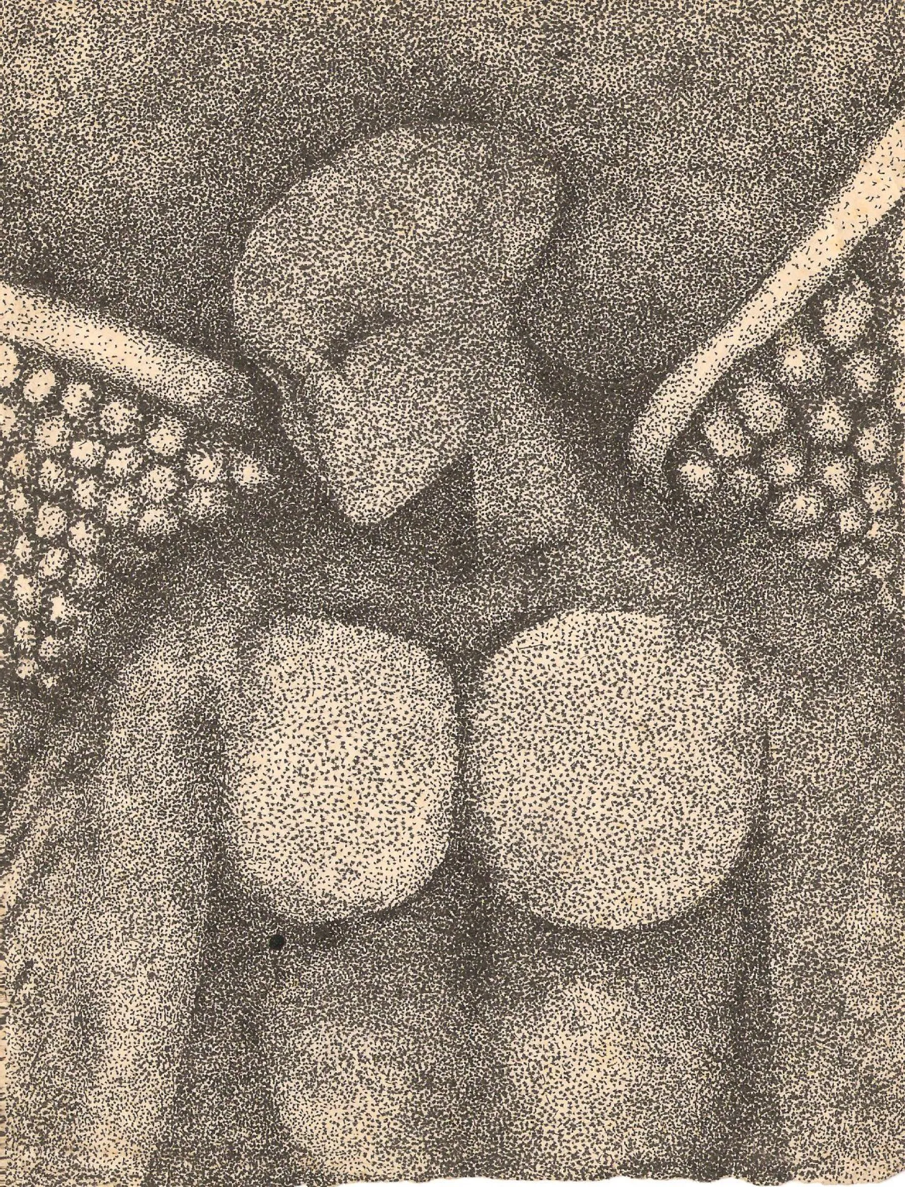 Man with Wings — obra de Cristina Sevilla