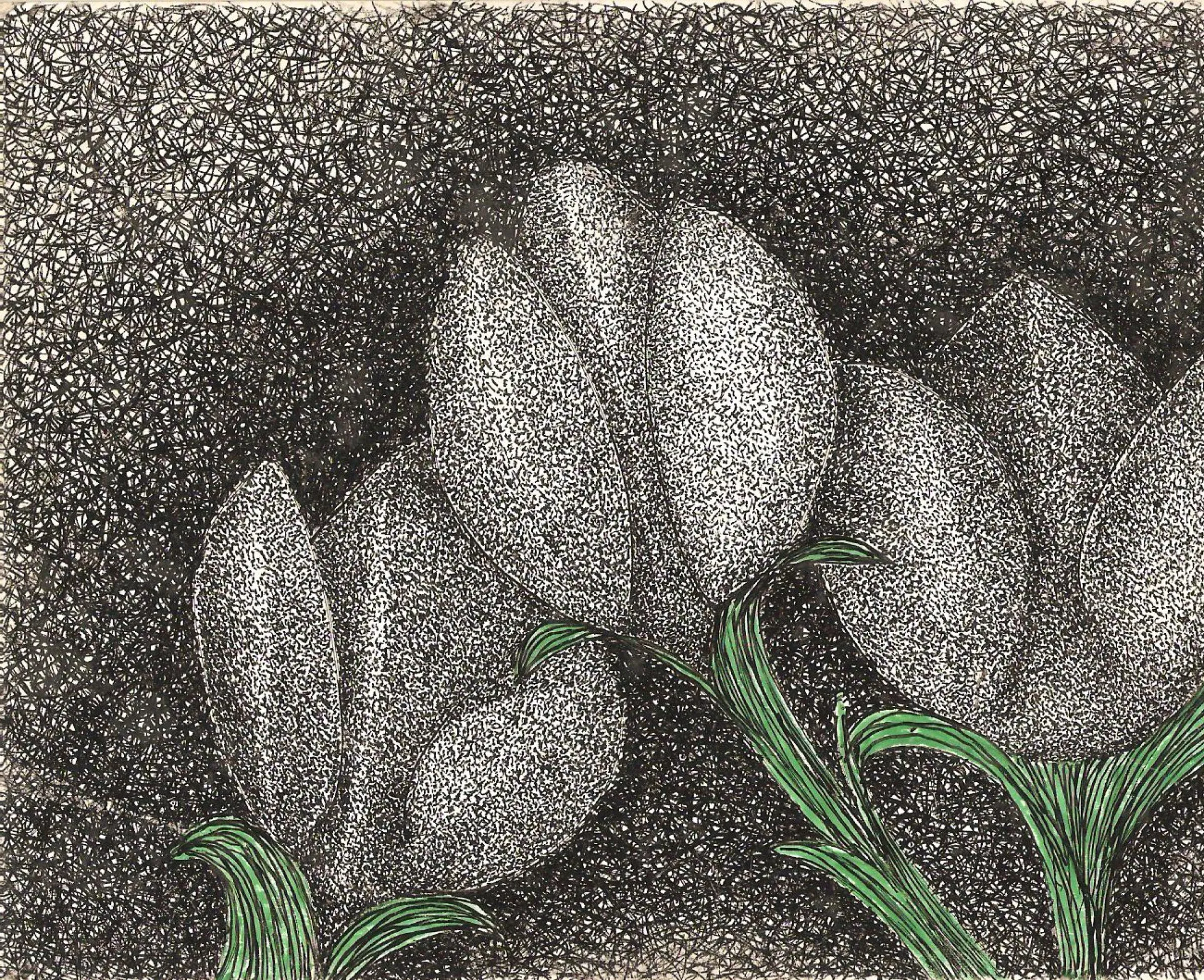 My First Tulips — obra de Cristina Sevilla