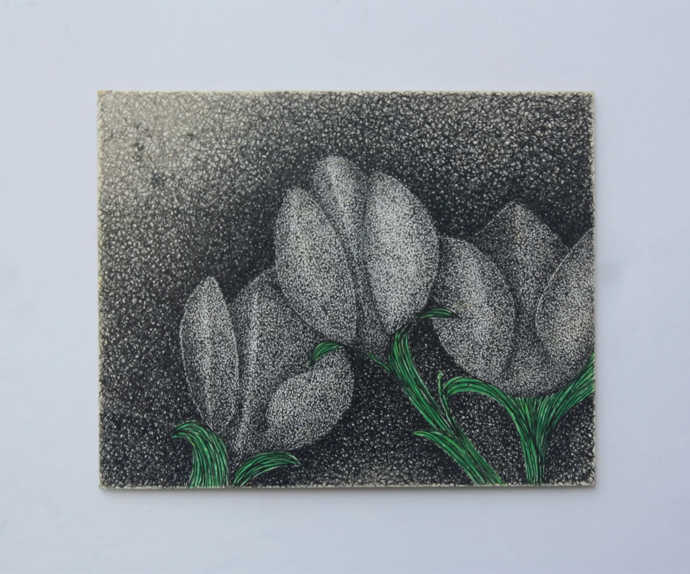 My First Tulips — obra de Cristina Sevilla