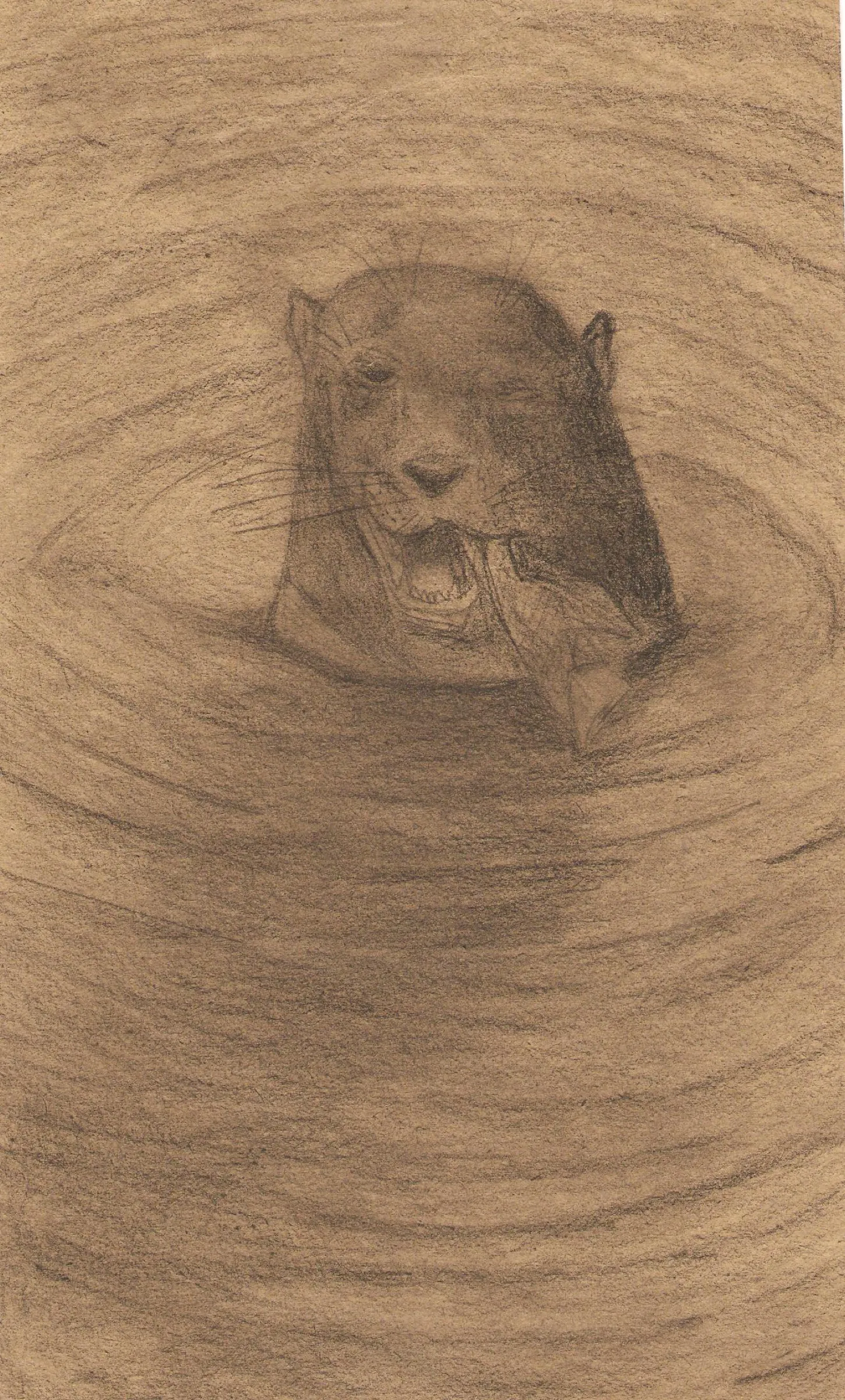 Otter Eating Fish — obra de Cristina Sevilla
