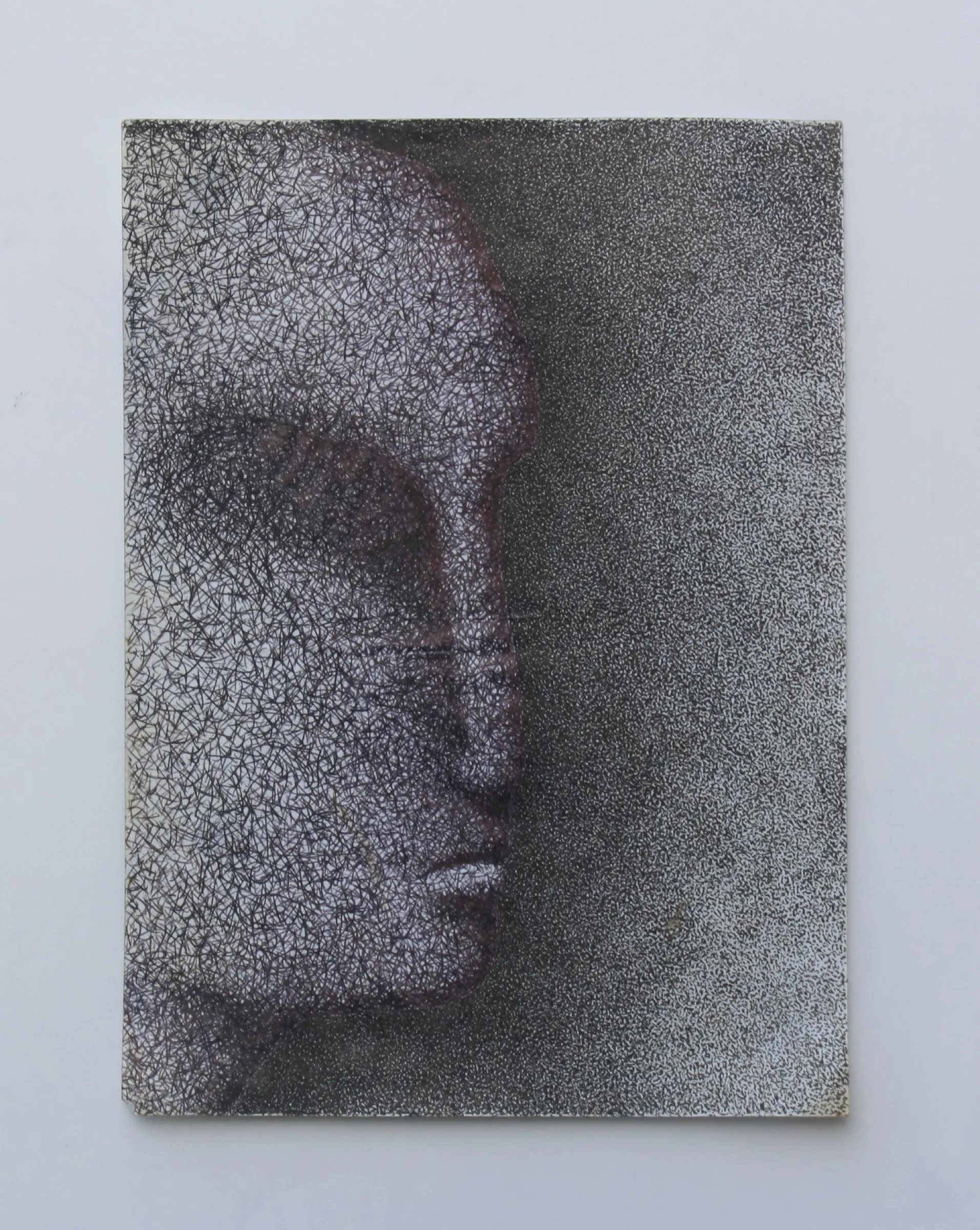 Profile — obra de Cristina Sevilla