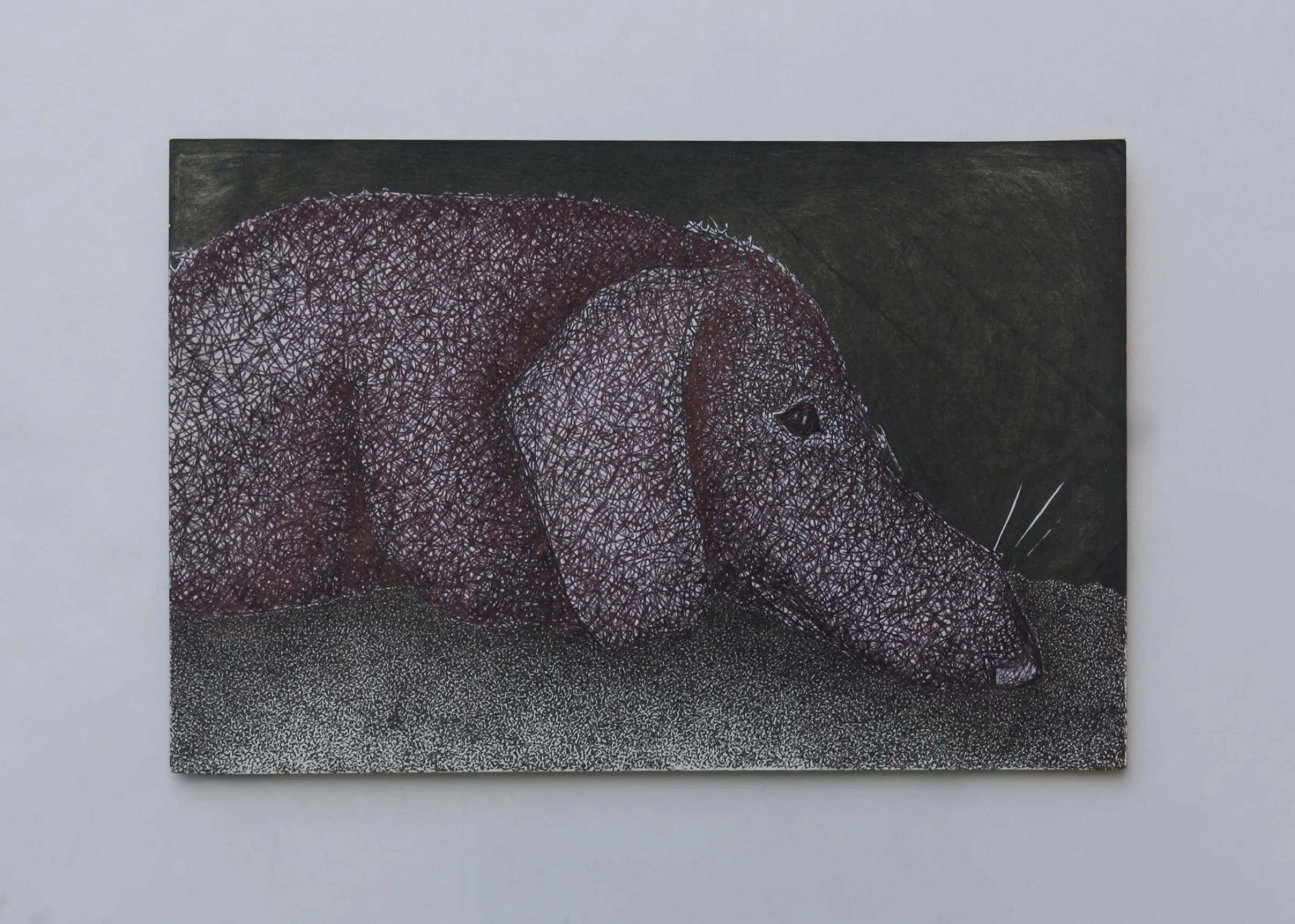 Sausage Dog Resting — obra de Cristina Sevilla