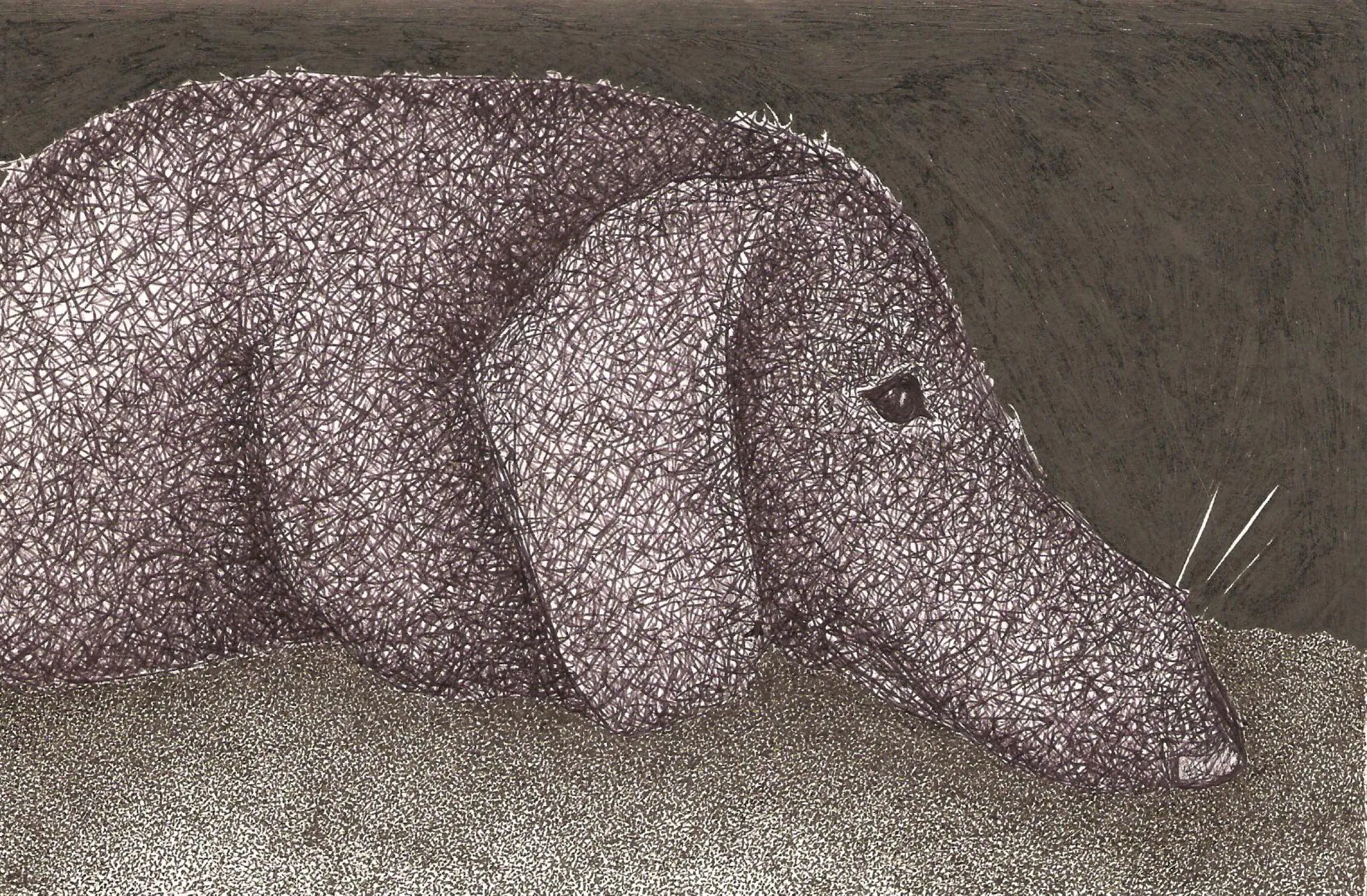 Sausage Dog Resting — obra de Cristina Sevilla