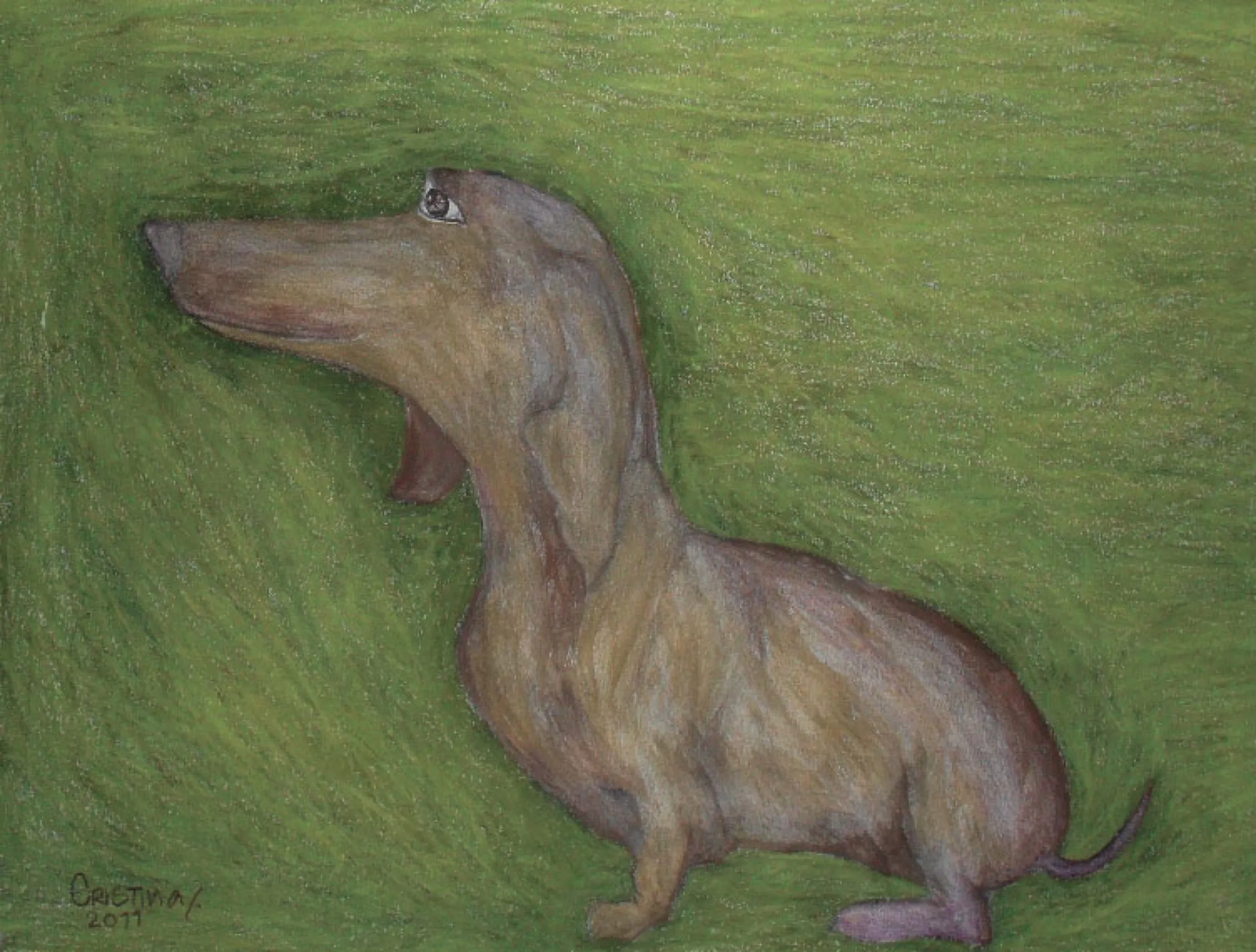 Sausage Dog — obra de Cristina Sevilla