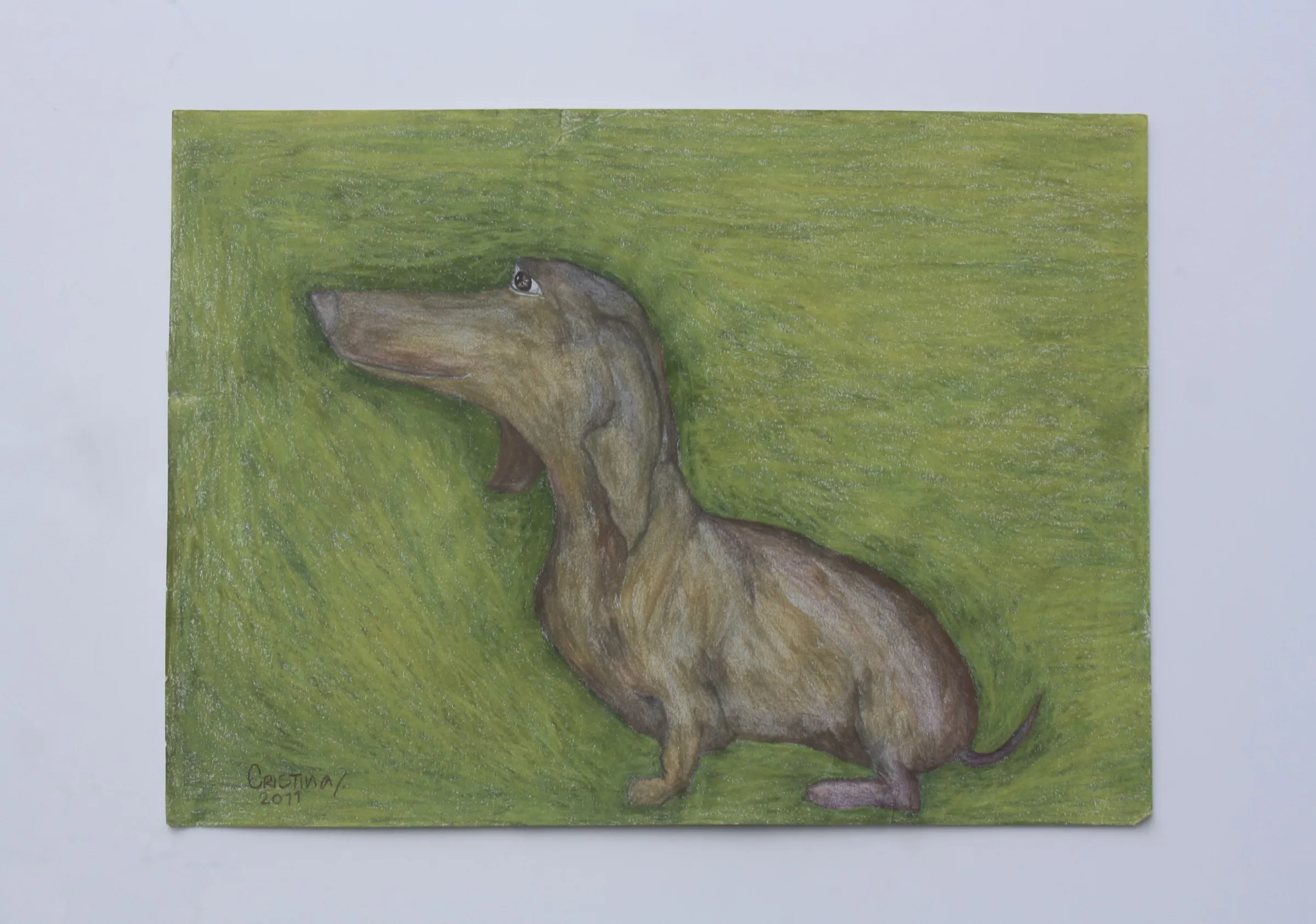 Sausage Dog — obra de Cristina Sevilla