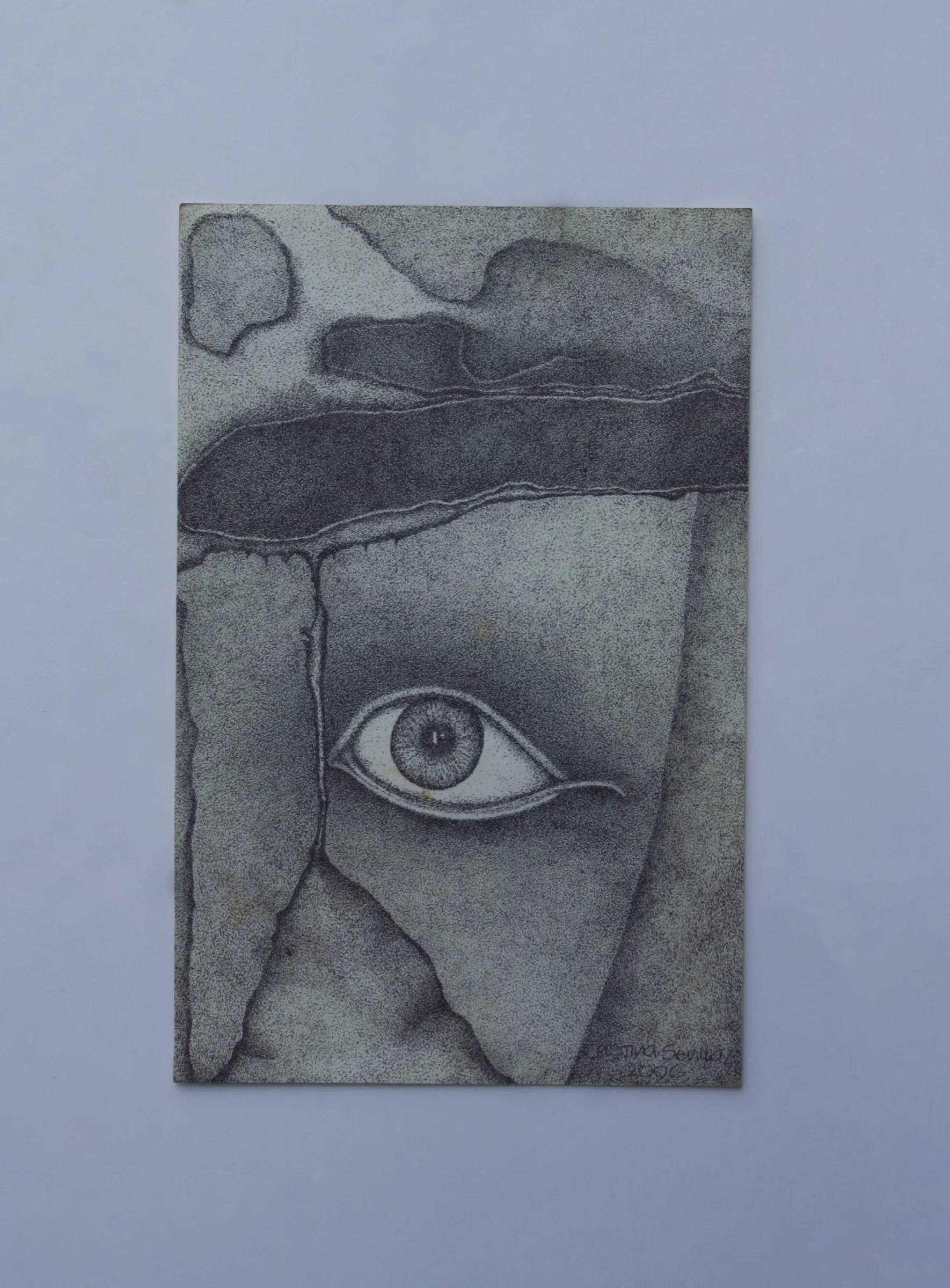 The Eye That Never Saw — obra de Cristina Sevilla