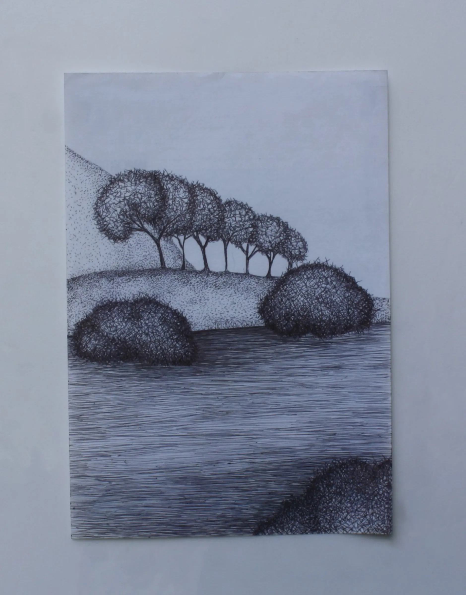 Tree Ridge — obra de Cristina Sevilla