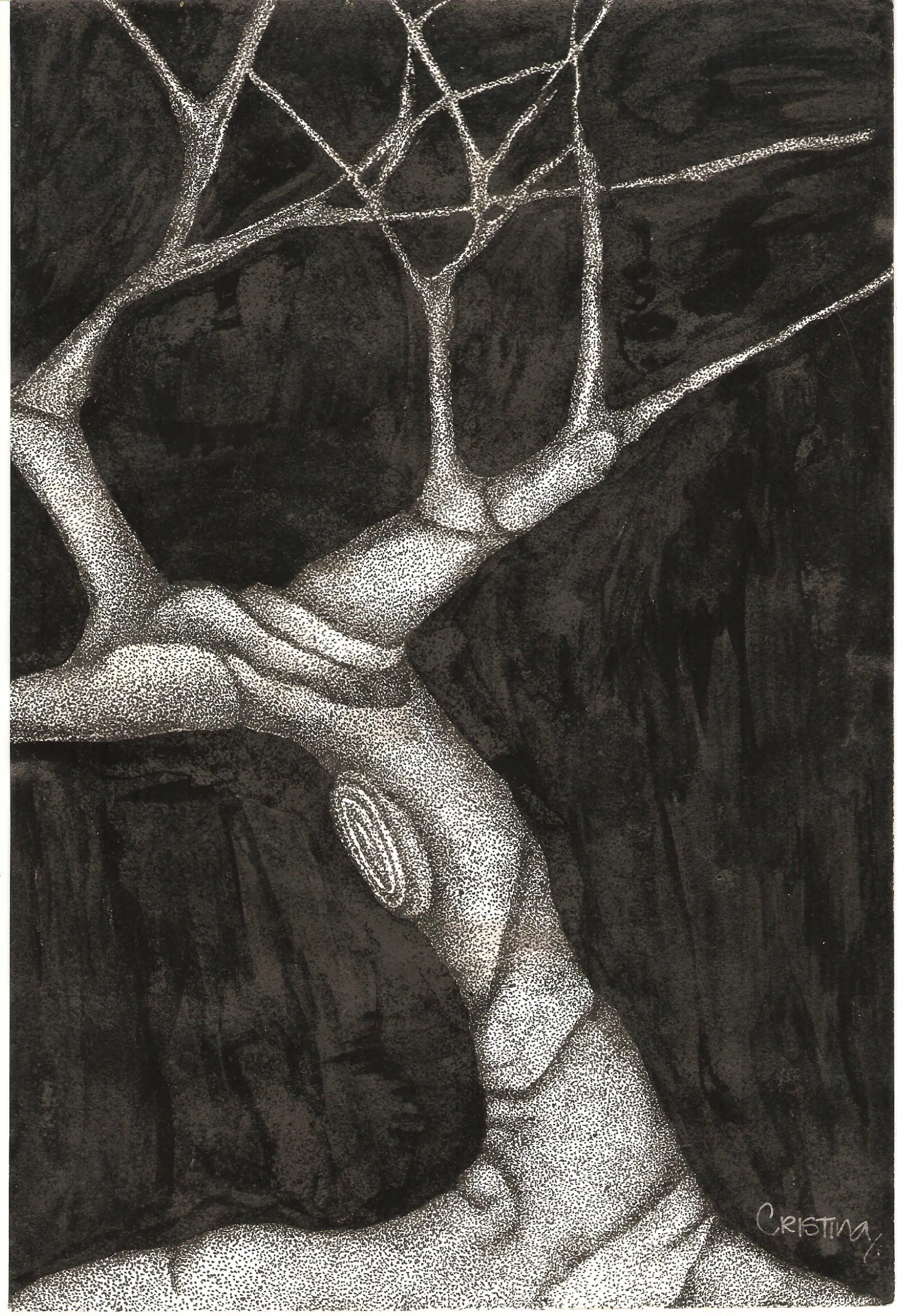 Twisted Tree — obra de Cristina Sevilla