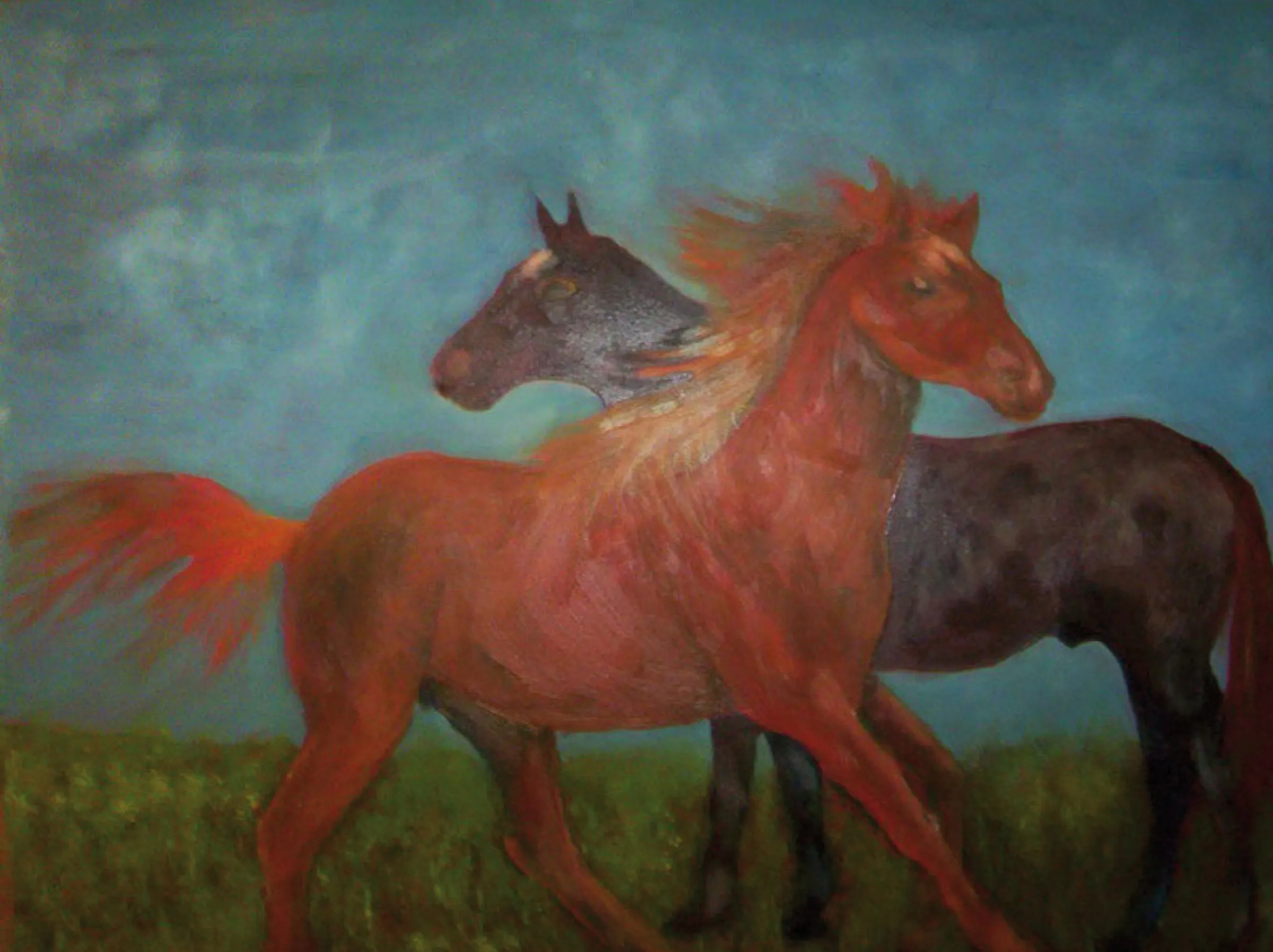 Two Horses — obra de Cristina Sevilla