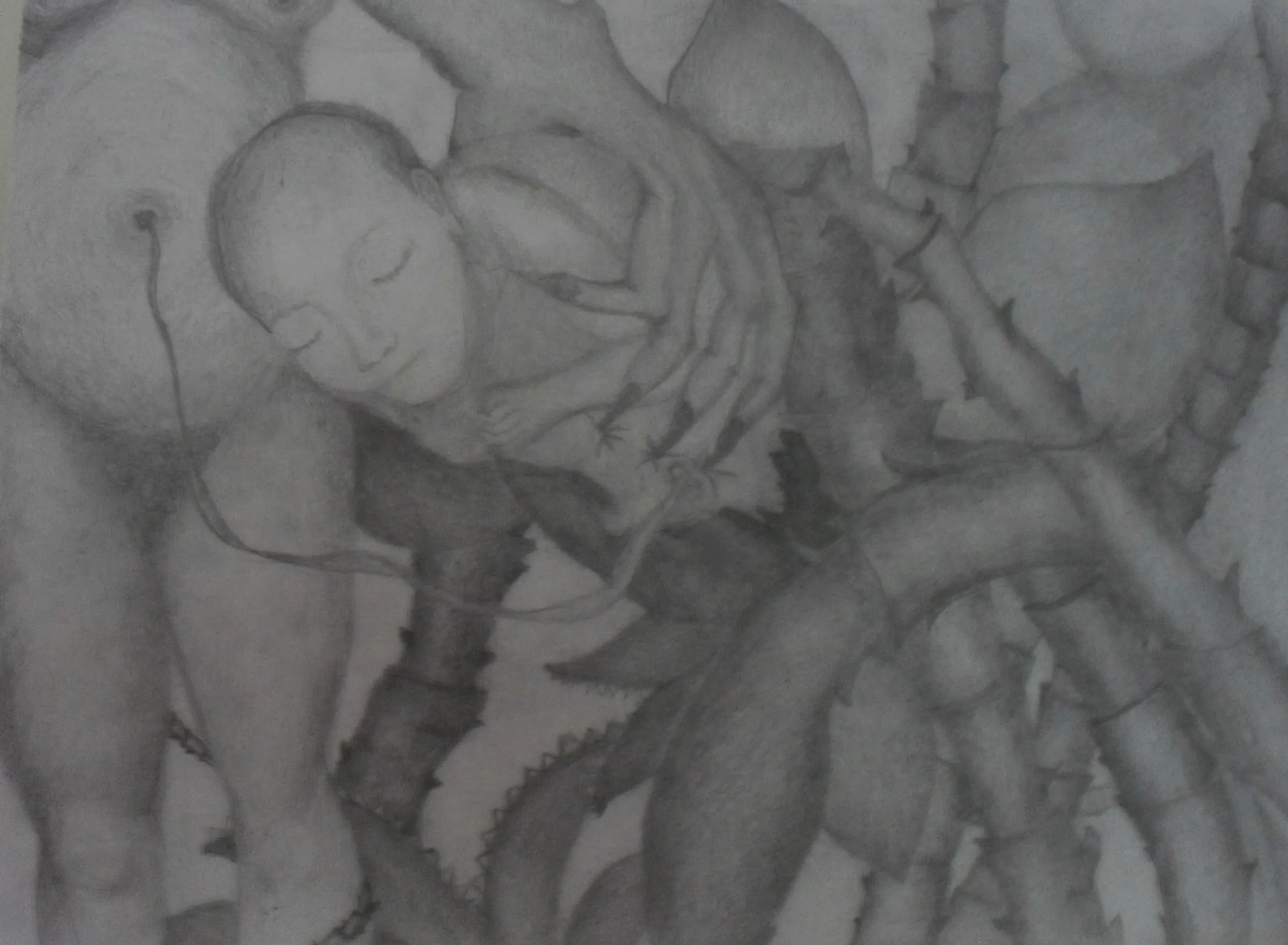 Wild Birth — obra de Cristina Sevilla
